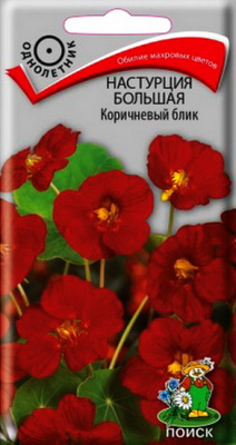 Настурция Коричневый блик