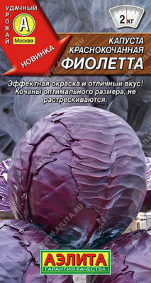 Капуста краснокочанная Фиолетта