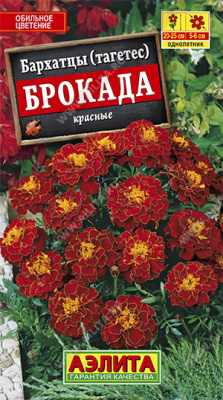 Бархатцы (тагетес) Брокада красные