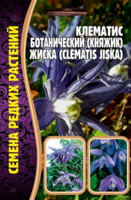 Клематис Жиска ботанический