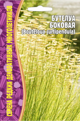 Бутелуа боковая