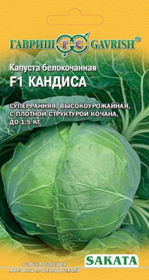Капуста цветная Кандиса