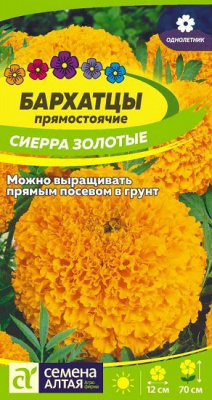 Бархатцы Сиерра золотые