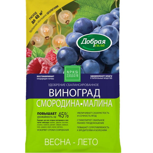 DS_vinograd