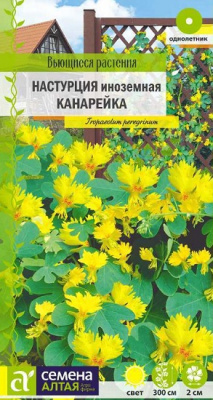 Настурция Иноземная канарейка вьющаяся