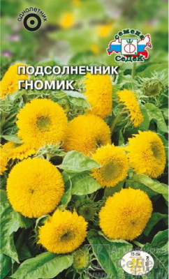 Подсолнечник Гномик