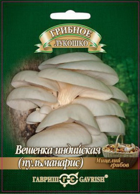 Грибы Мицелий ВЕШЕНКА  Индийская