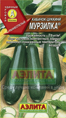 Кабачок Мурзилка