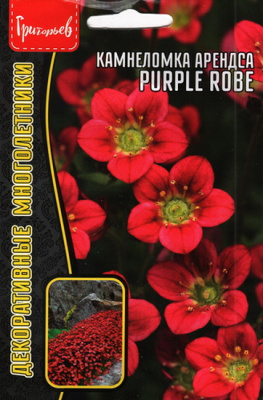 Камнеломка Purple Robe