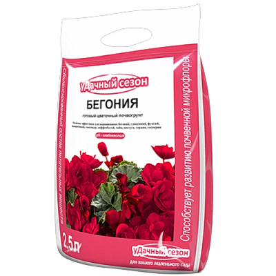Begoniya_2_5l