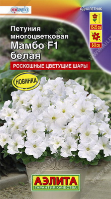 Петуния Мамбо белая