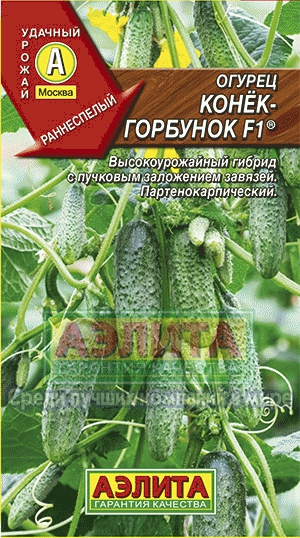 огурец конек горбунок огурец конек горбунок