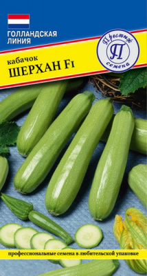 Кабачок Шерхан