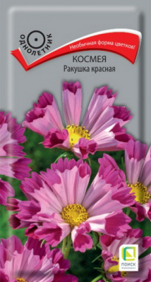 Космея Ракушка красная
