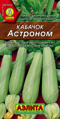 Астроном