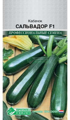 Кабачок Сальвадор