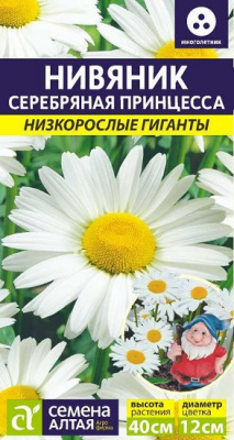 Нивянник Серебрянная Принцесса