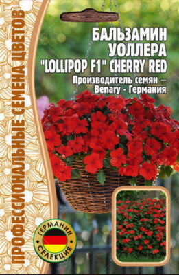 Бальзамин Уоллера Lollipop Cherry Red