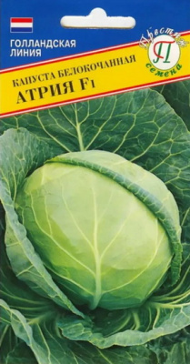 капуста Атрия