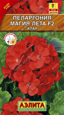 Пеларгония Магия лета алая