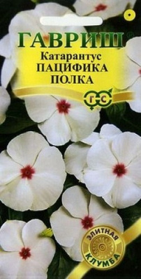 Катарантус ПАЦИФИКА ПОЛКА (Гавриш)