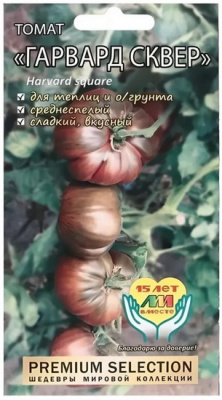 Томат Гарвард сквер (Мязина)