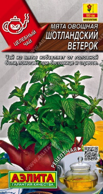 Мята Шотландский ветерок
