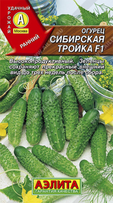 Огурец Сибирская тройка