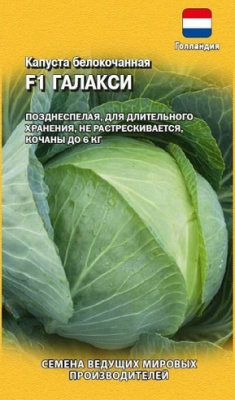 Капуста белокочанная Галакси  (Гавриш)