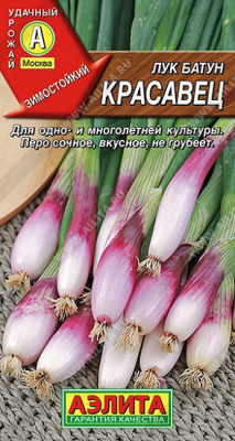 Лук батун Красавец