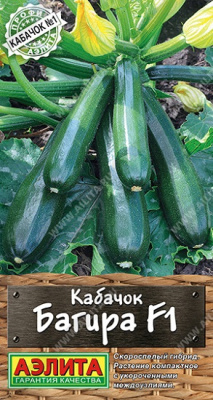 Кабачок цуккини Багира