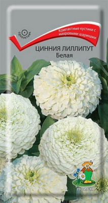 Цинния Лиллипут белая