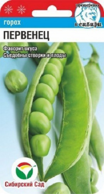 Первенец