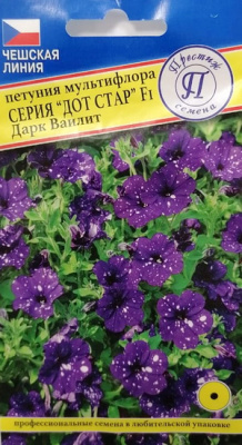 Петуния Дот Стар Дарк Ваилит