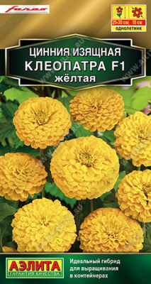 Цинния Клеопатра желтая
