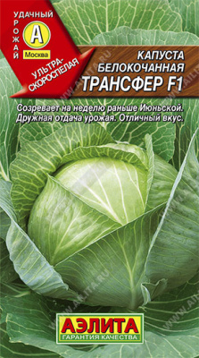 Капуста белокочанная Трансфер