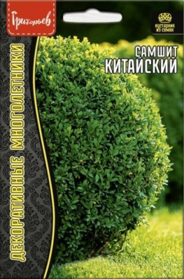 Самшит Китайский