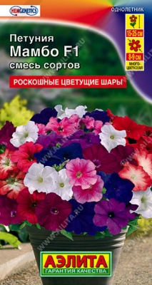 Петуния Мамбо F1, смесь окрасок
