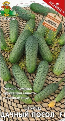 Огурец Дачный посол