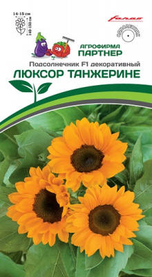 Люксор танжерине