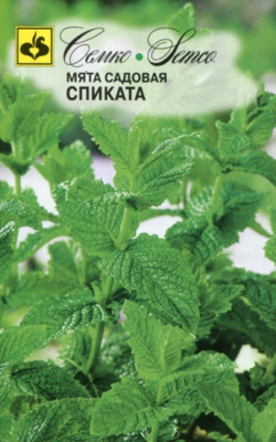 Мята Спиката (Семко)