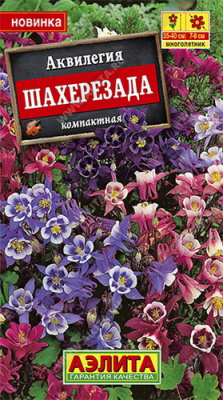 Аквилегия Шахерезада, смесь окрасок