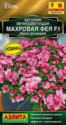 Бегония вечноцветущая Фея махровая ярко-розовая