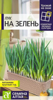Лук на Зелень