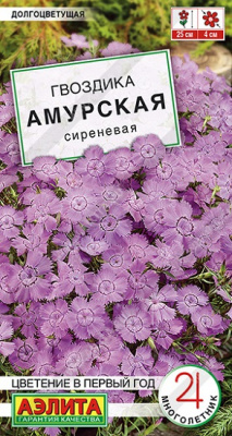Гвоздика Амурская сиреневая