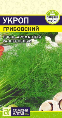 Укроп Грибовский