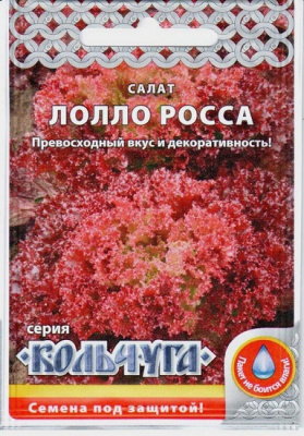 Лолло Росса салат