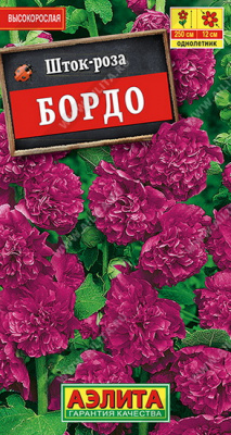 Шток-роза Бордо