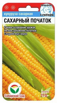 Кукуруза Сахарный початок