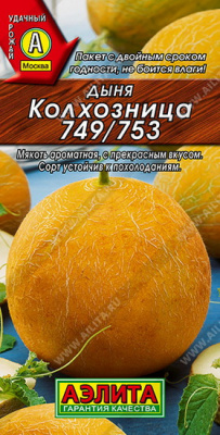 Дыня Колхозница